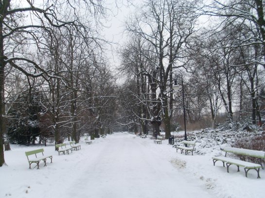 Warsaw Park